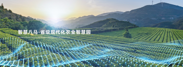 助力茶農增收致富 八馬茶業為鄉村振興貢獻力量——智能農業管理驅動茶產業升級