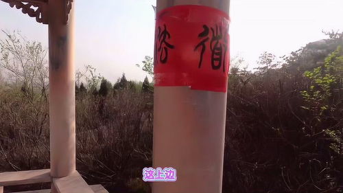 清徐服務區新發現 共享自行車服務，旅途中的便捷新選擇